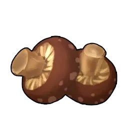 Baked Mushroom